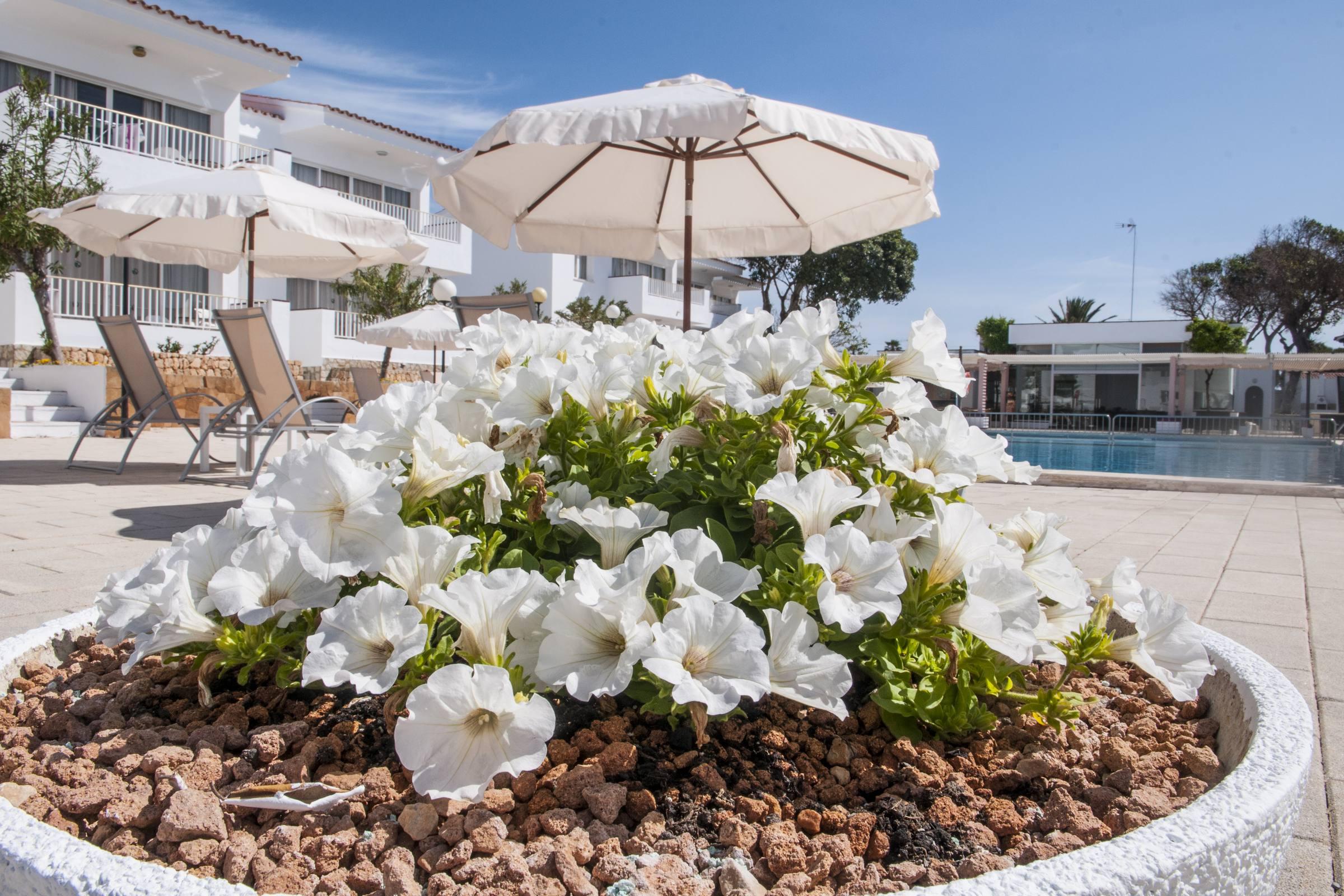 Apartahotel Naranjos Menorca S'Algar